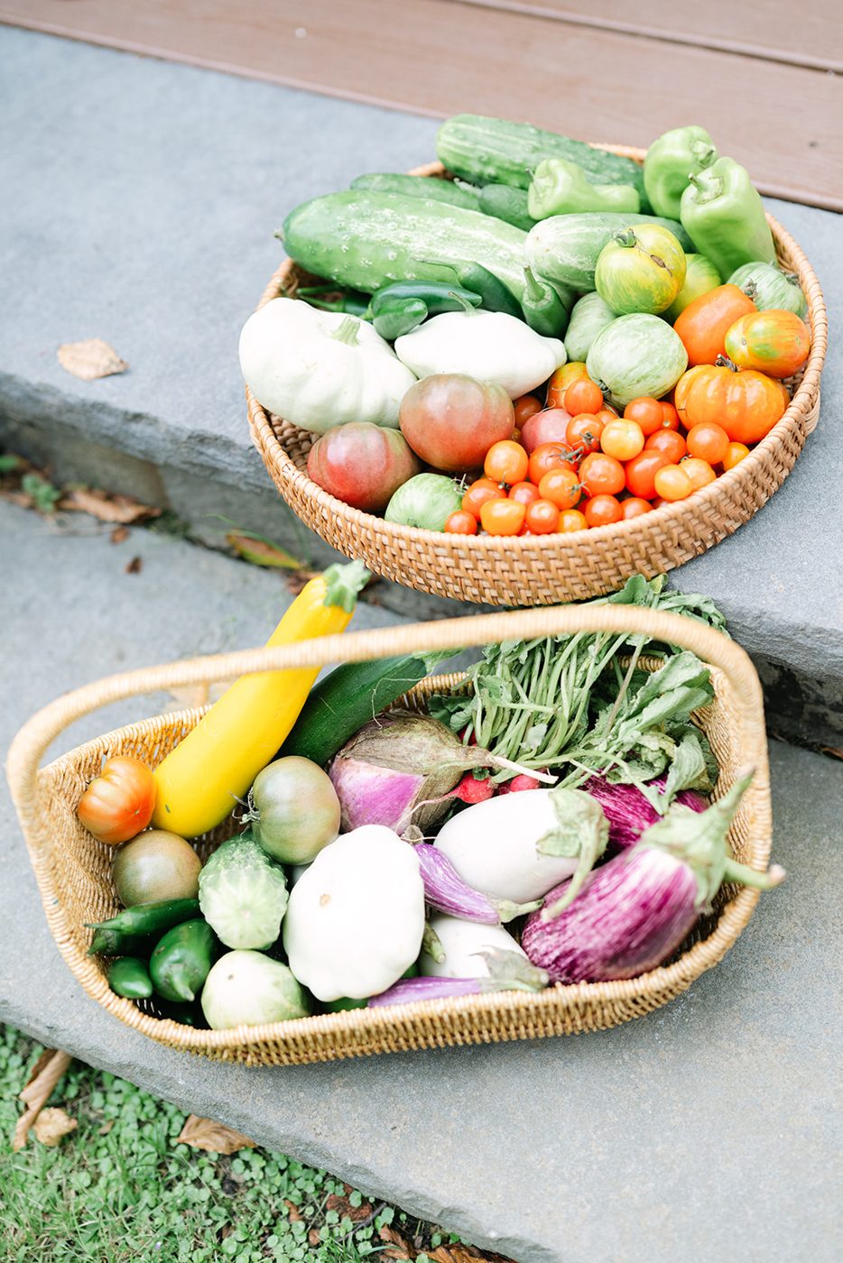 A basket of just-picked vegetables on the garden steps